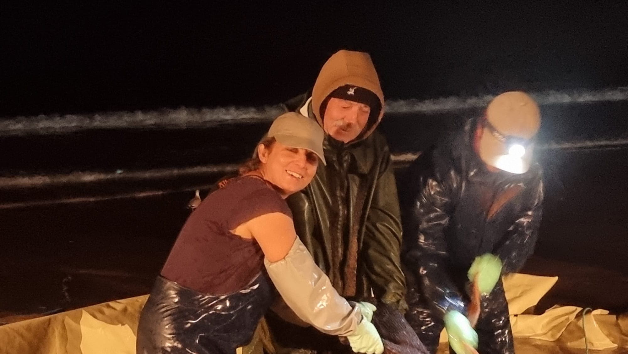 Concha do Mar - Pôr do sol no mar